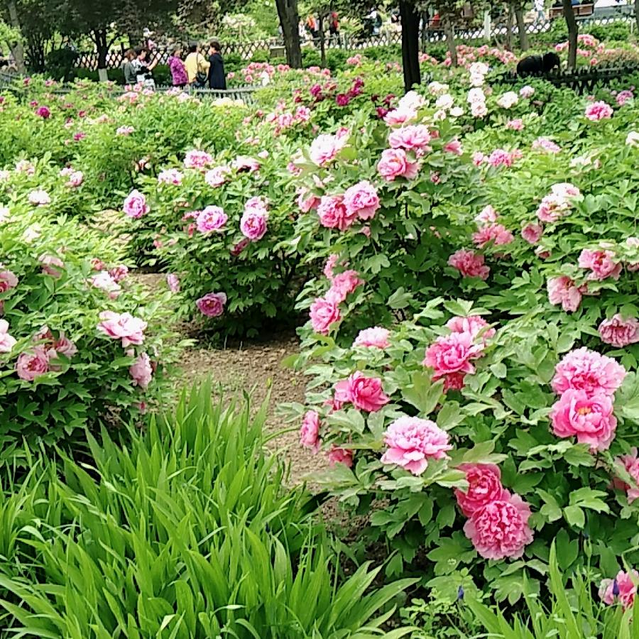 有你们就是幸福