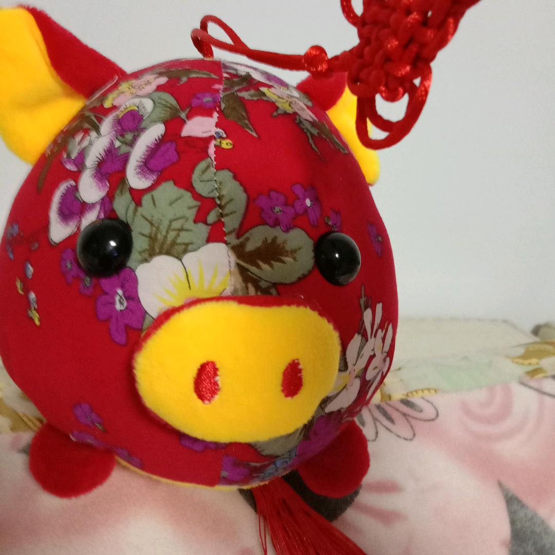 君子兰