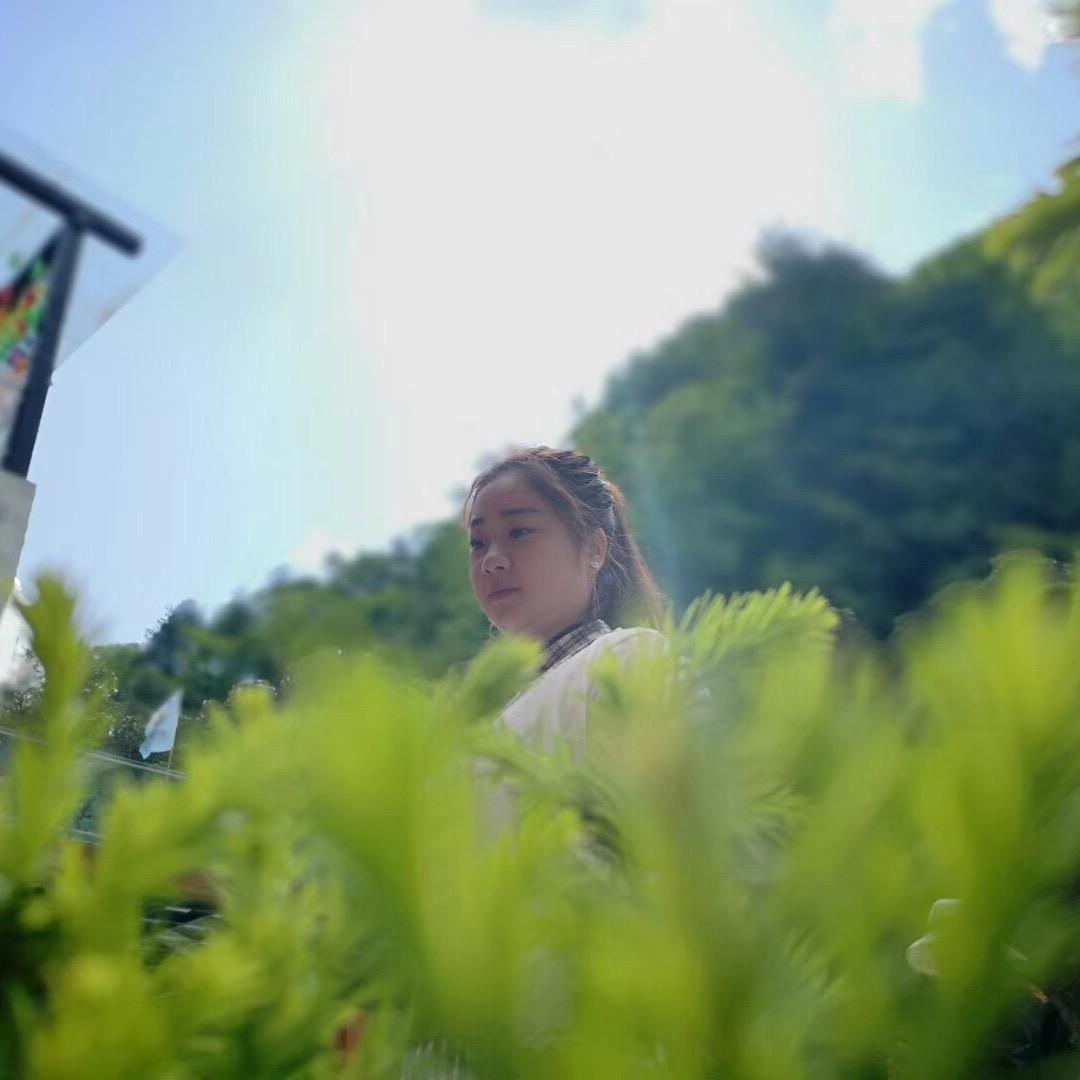 熊猫七仔文创（汉月映像旅拍）