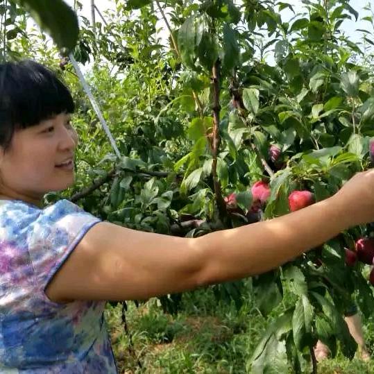 心静如水