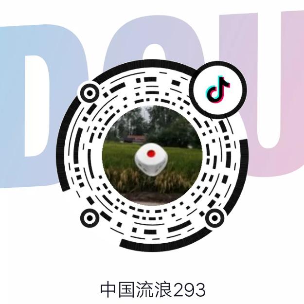 外面徐总