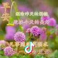 红尘与你手牵手。