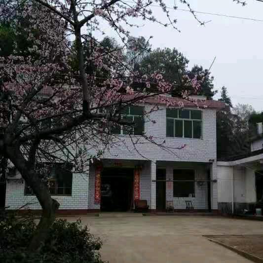 桃花🌺哥