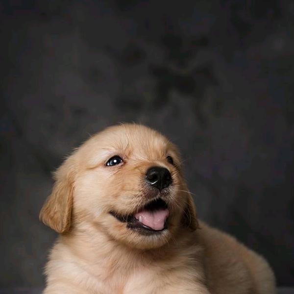 已掌握方向的我