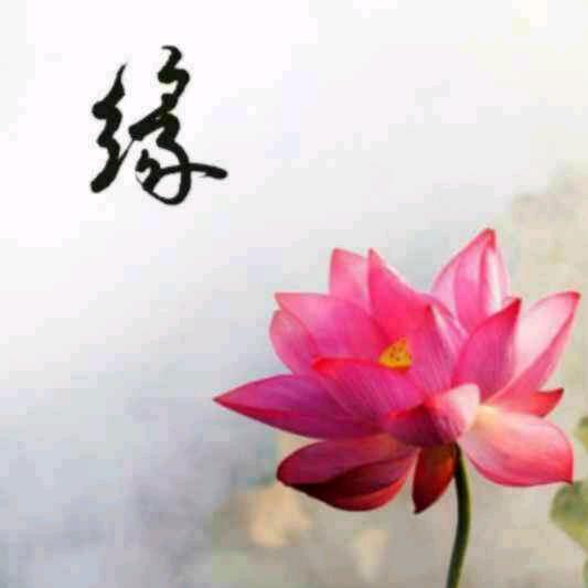 ❤️随缘❤️