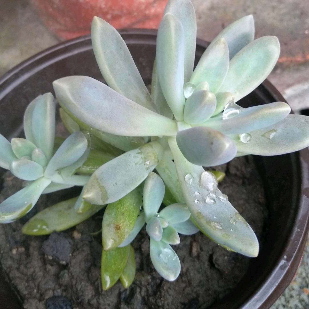 一米阳光