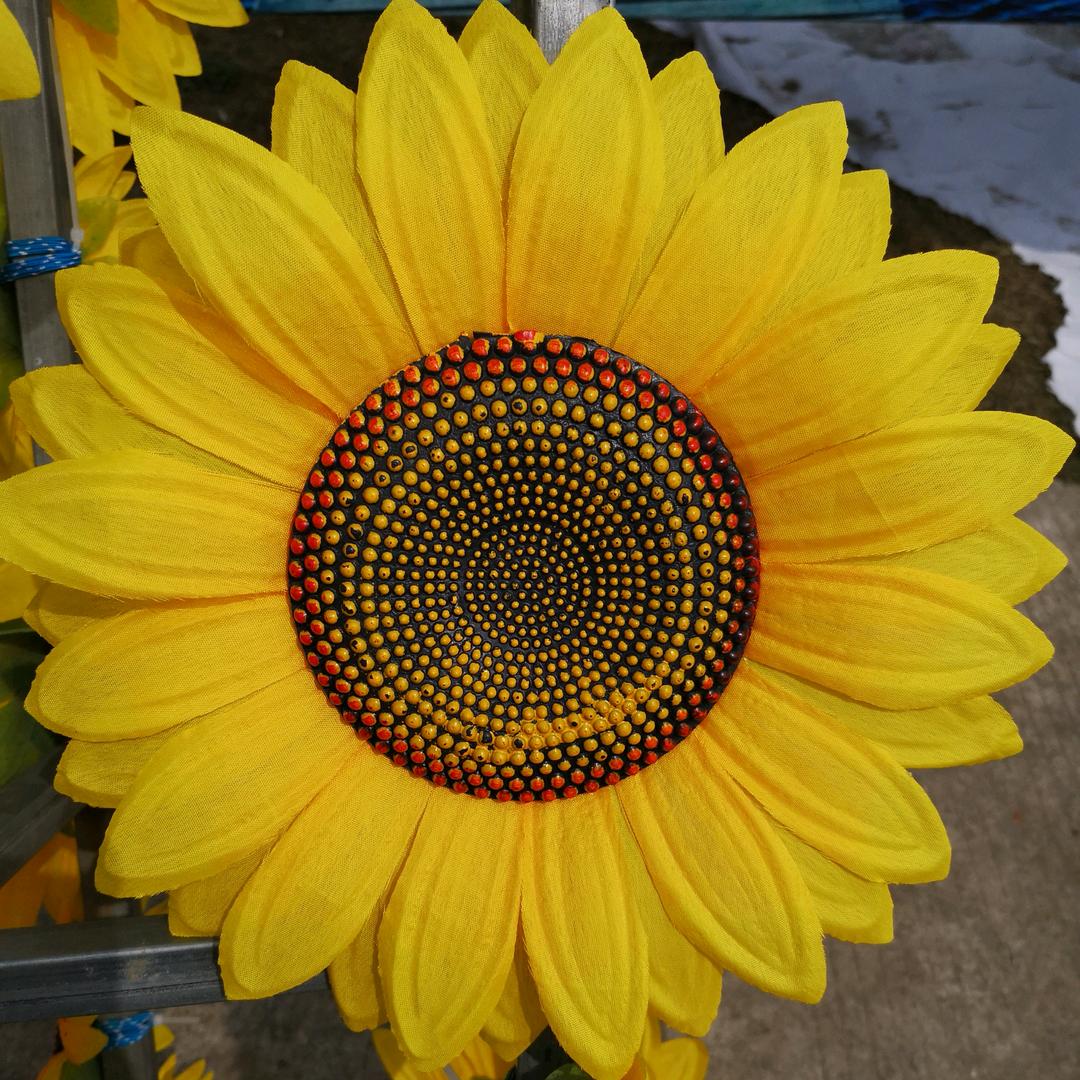 射洪米素软装小龙