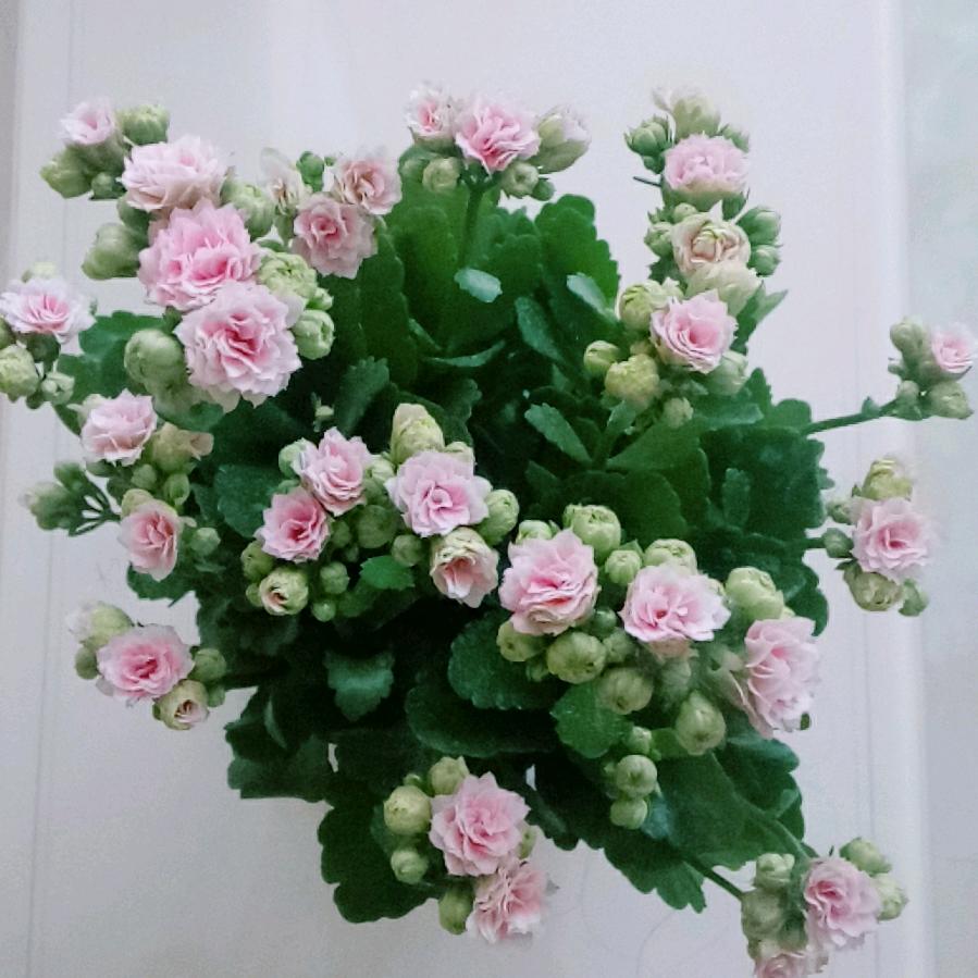 70后  《拒绝私聊》