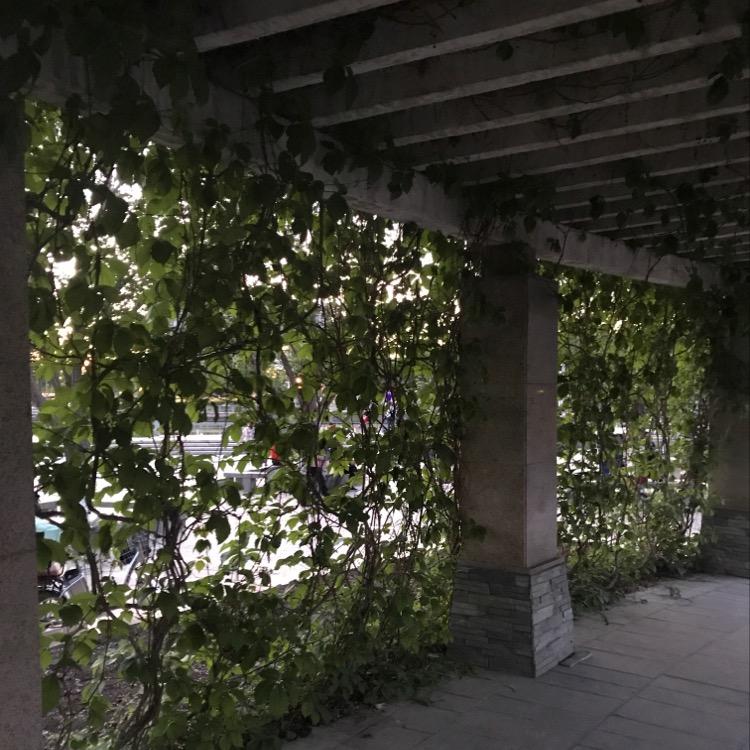 与你同行