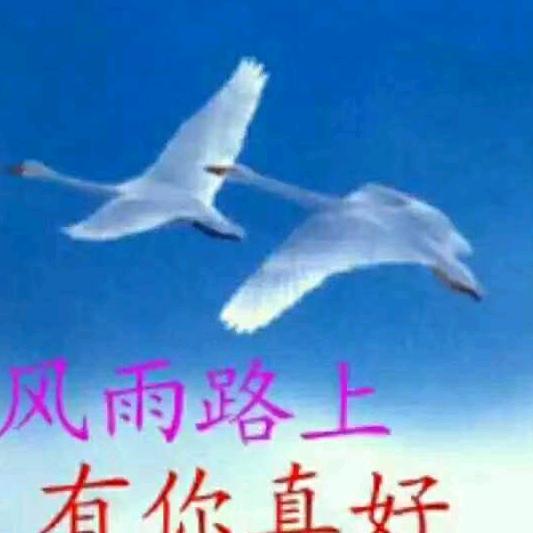 任性