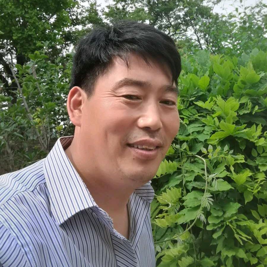 连赢小家电