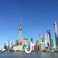 权衡左右