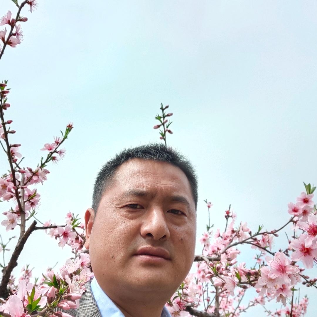 罗湖口岸