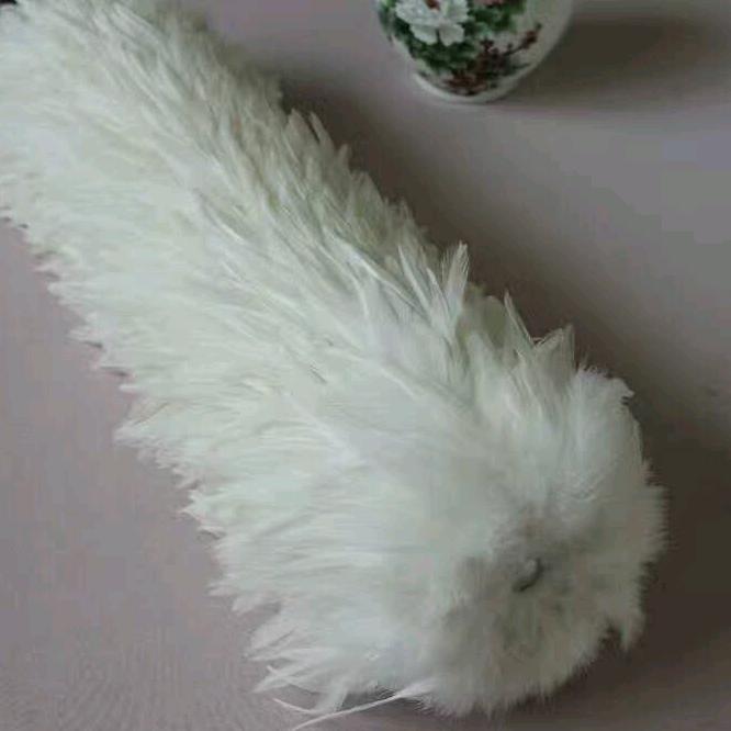 鸡毛掸批发.鸡腰子购销