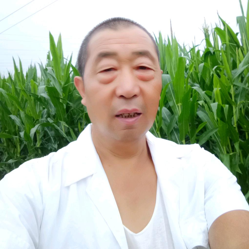 世界安好