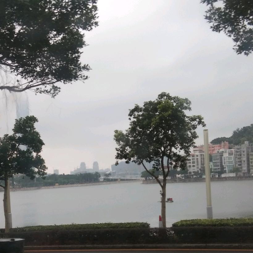 情缘