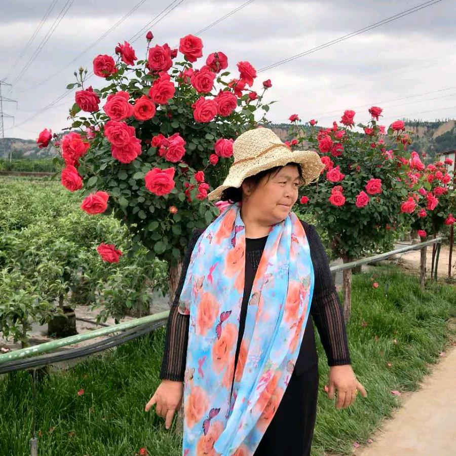 仙女天天酒席承包