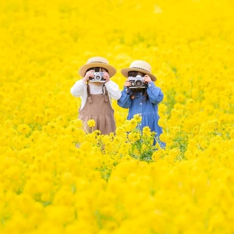 小╭紫荆°っ