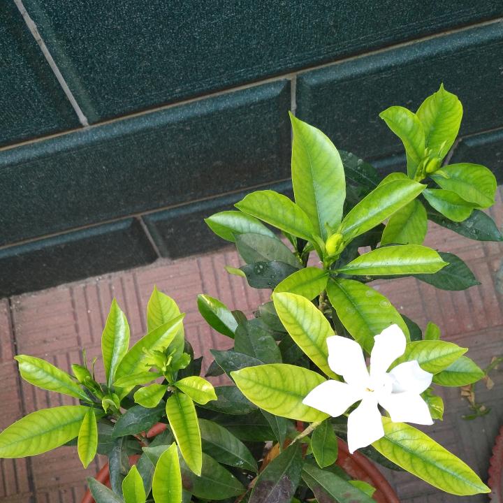 不一样的烟火