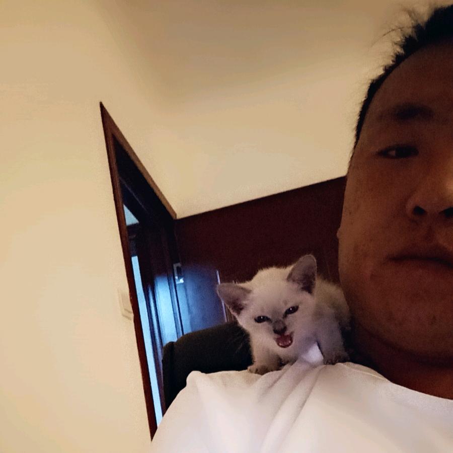 个人