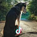 蓦然回首