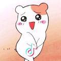 小呆