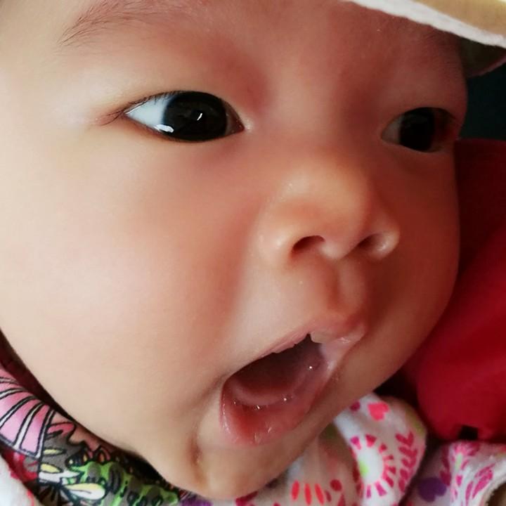 提提