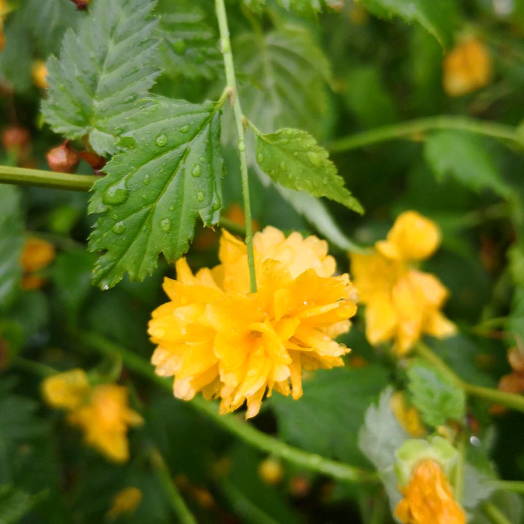 🐇¹⁰.₂₆孙℘࿐