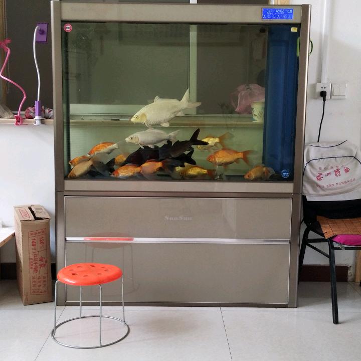 公交司机――喜