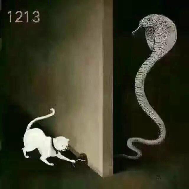 黄家二小姐