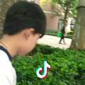 幻影人生