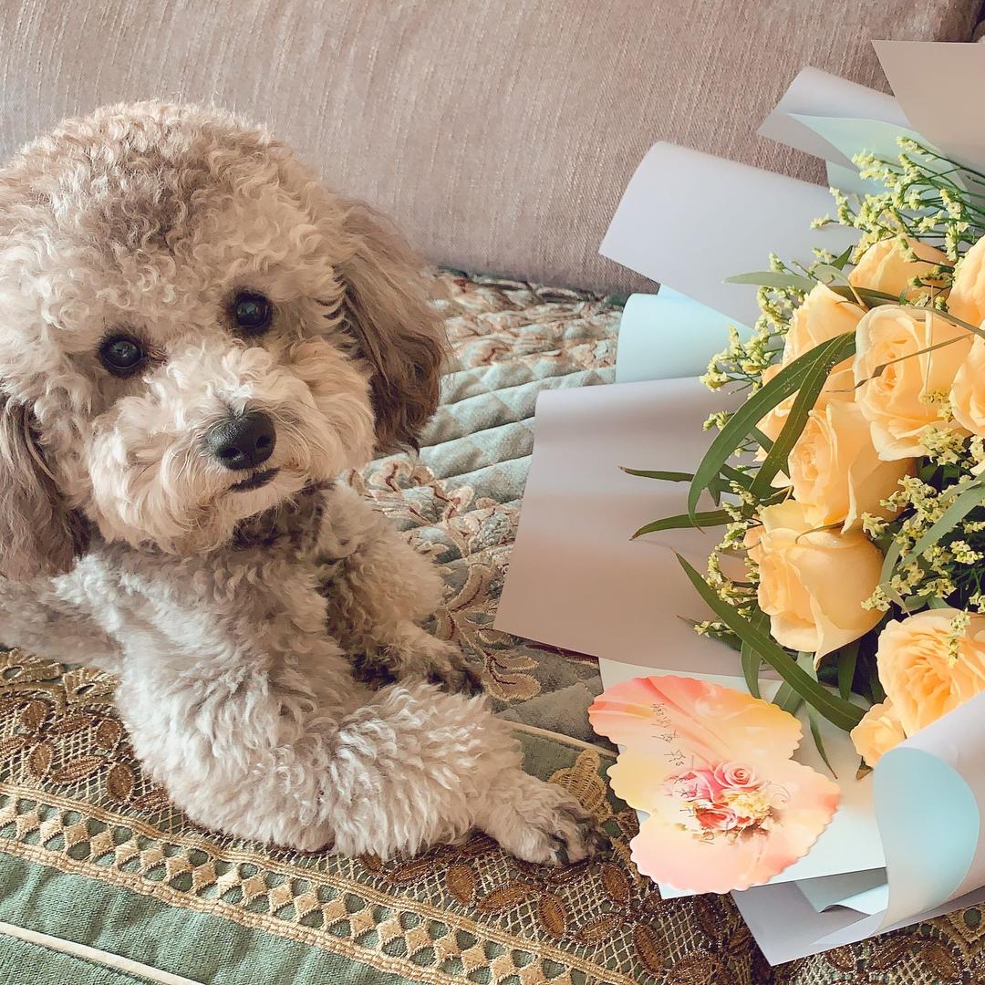 🧸ʕ•̫͡•ིʔྀ  Hmm