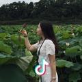 雅莉
