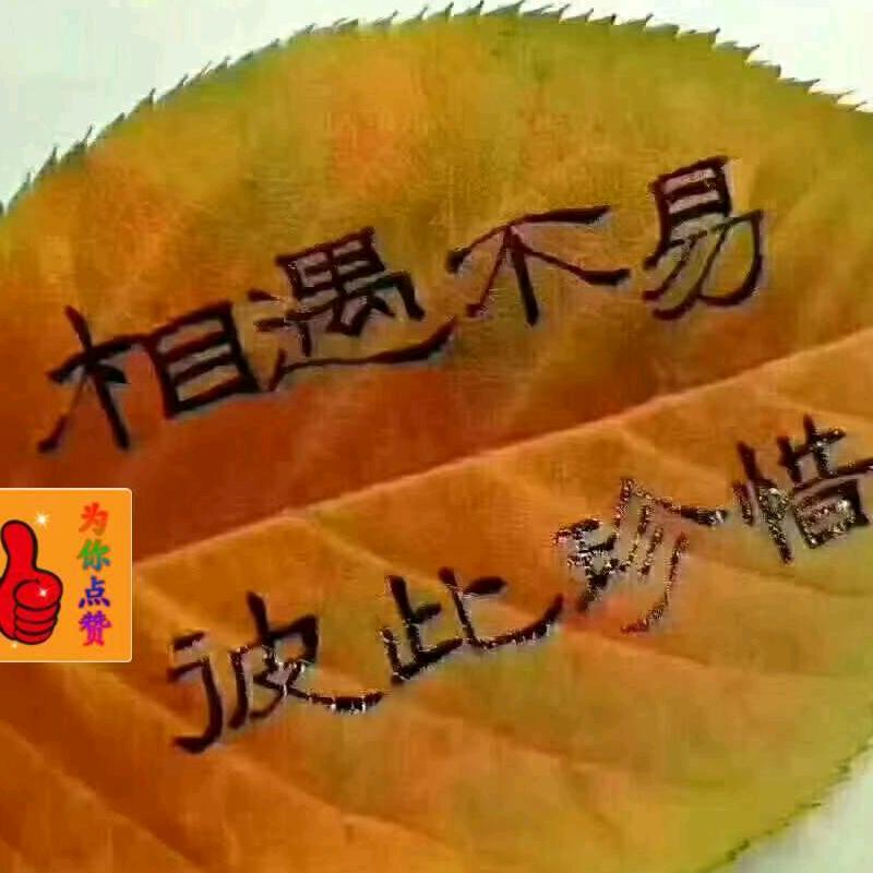 我爱我家