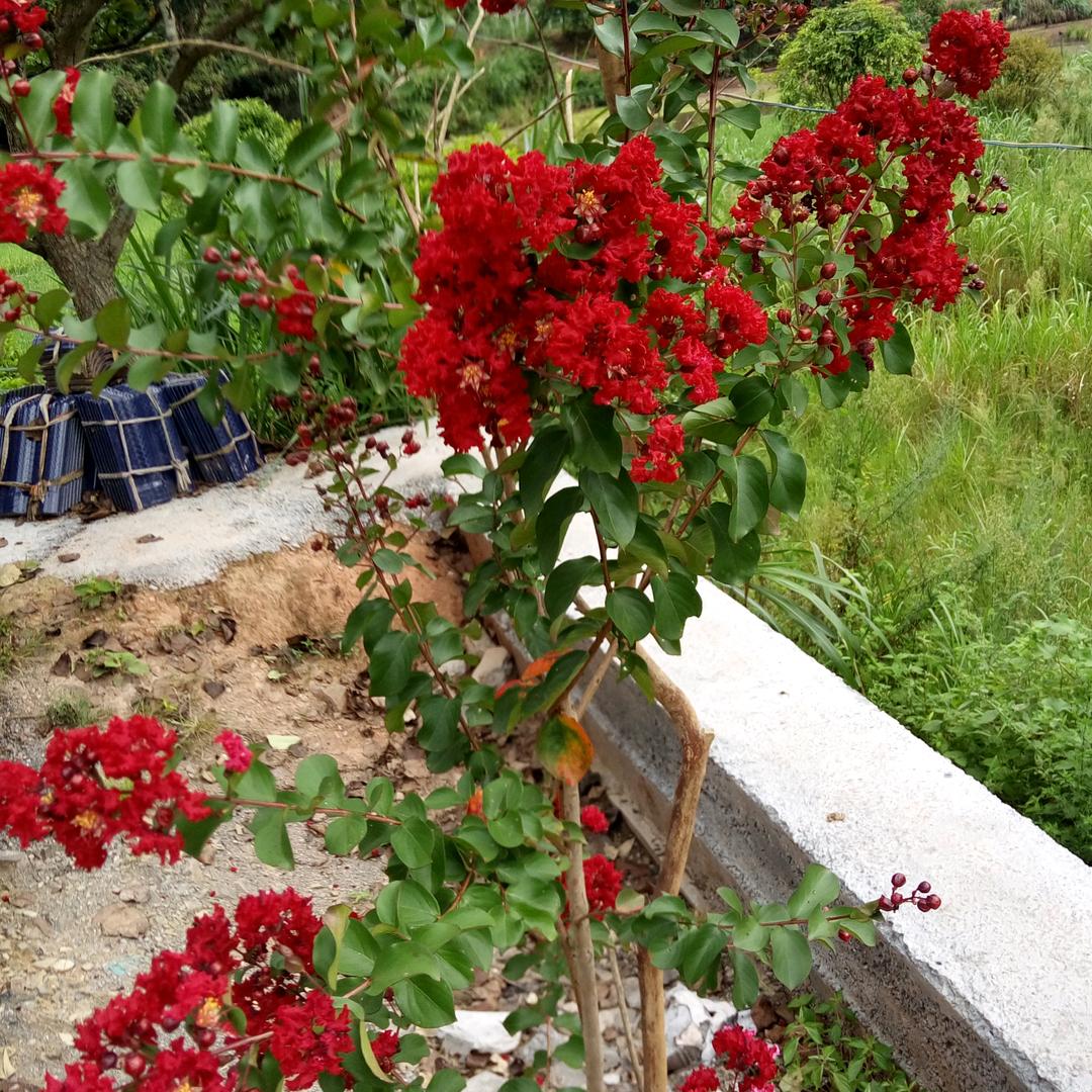 随心而已，💑💑💏💏👏👏