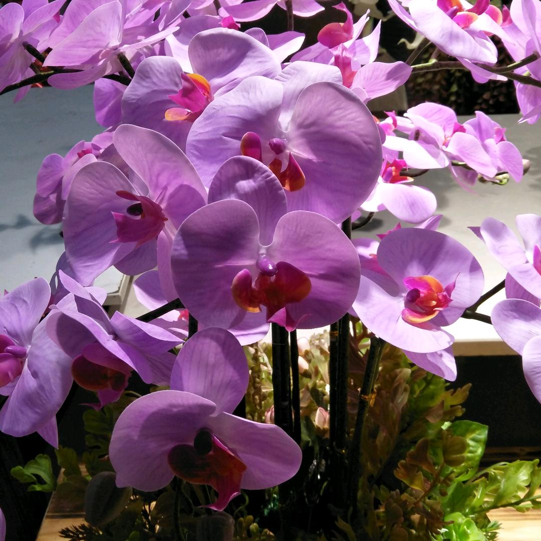 知足常乐🍀🌺
