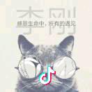 李刚