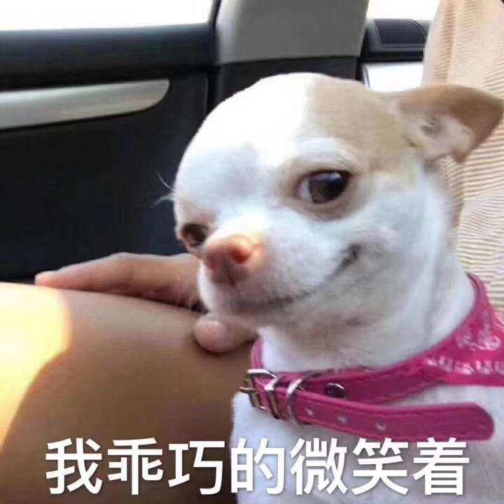 北北.馒馒橙意