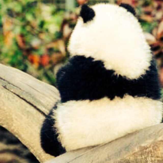 道友请留步