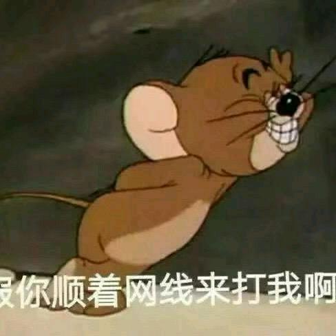 皮皮侠