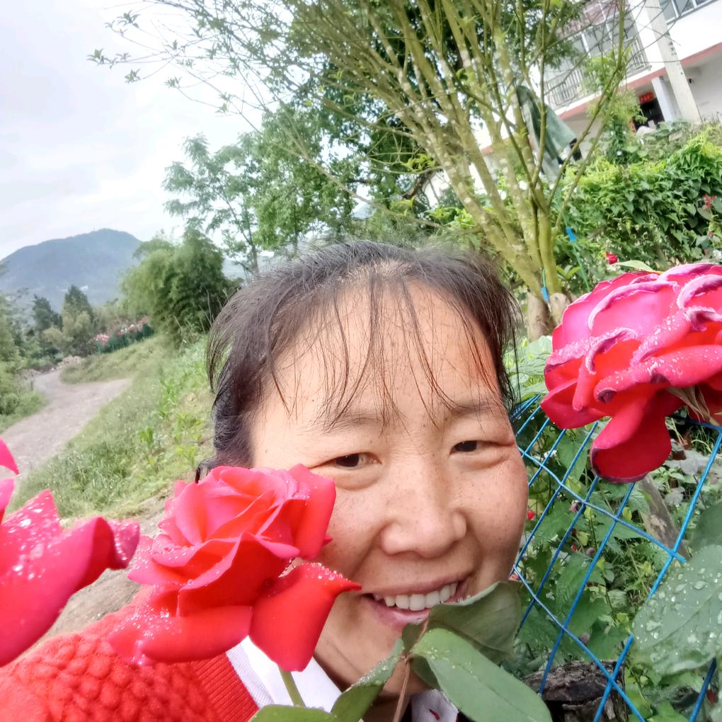 琼瑶