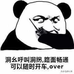 可以随时开车piupiupiu