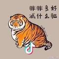 老虎