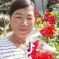石沟高家洼高彩芳