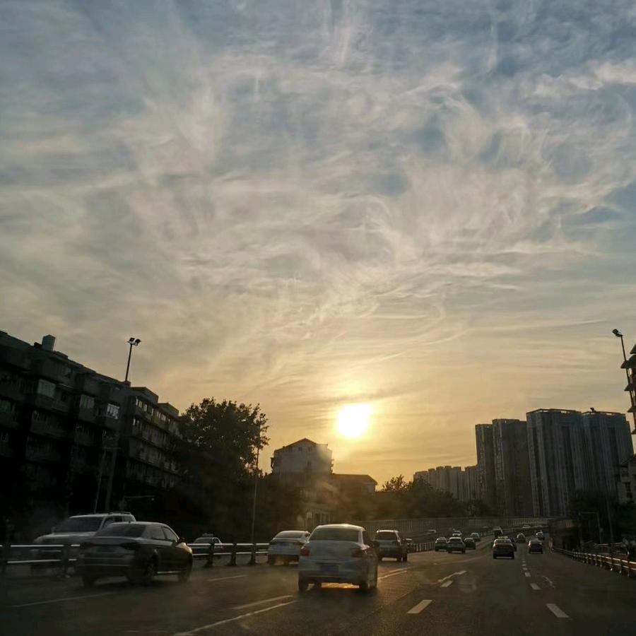 拉萨老蒋活禽批发，鸡鸭鹅