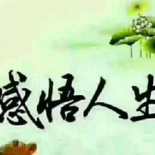 关中狼（感悟人生）