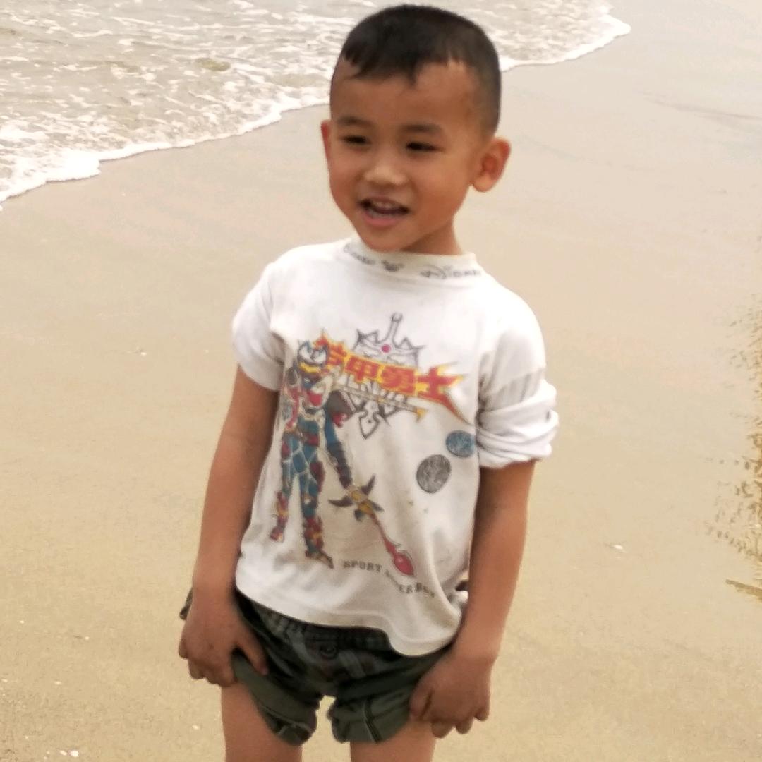 户外诱蜂和找蜂 散养兔子