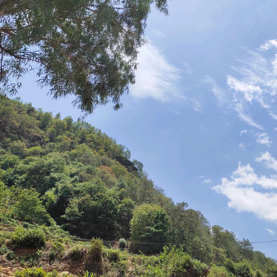 好运加满- ̗̀(๑ᵔ⌔ᵔ๑)