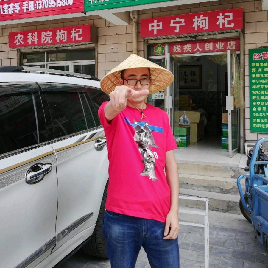 宁夏枸杞西北特产