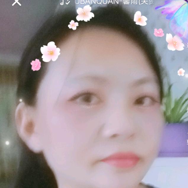 凤凰飞